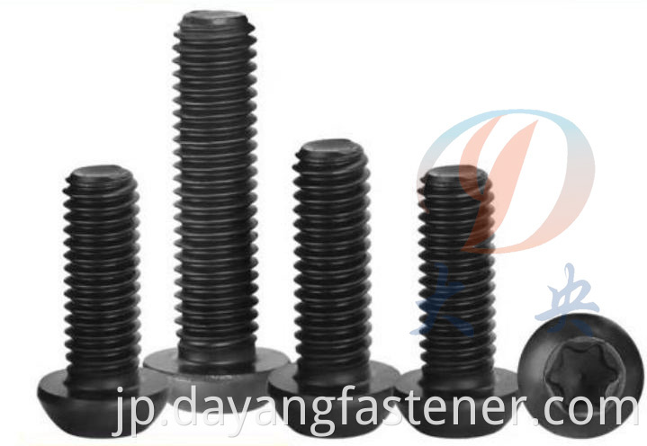 Torx Slotted Machine Screw